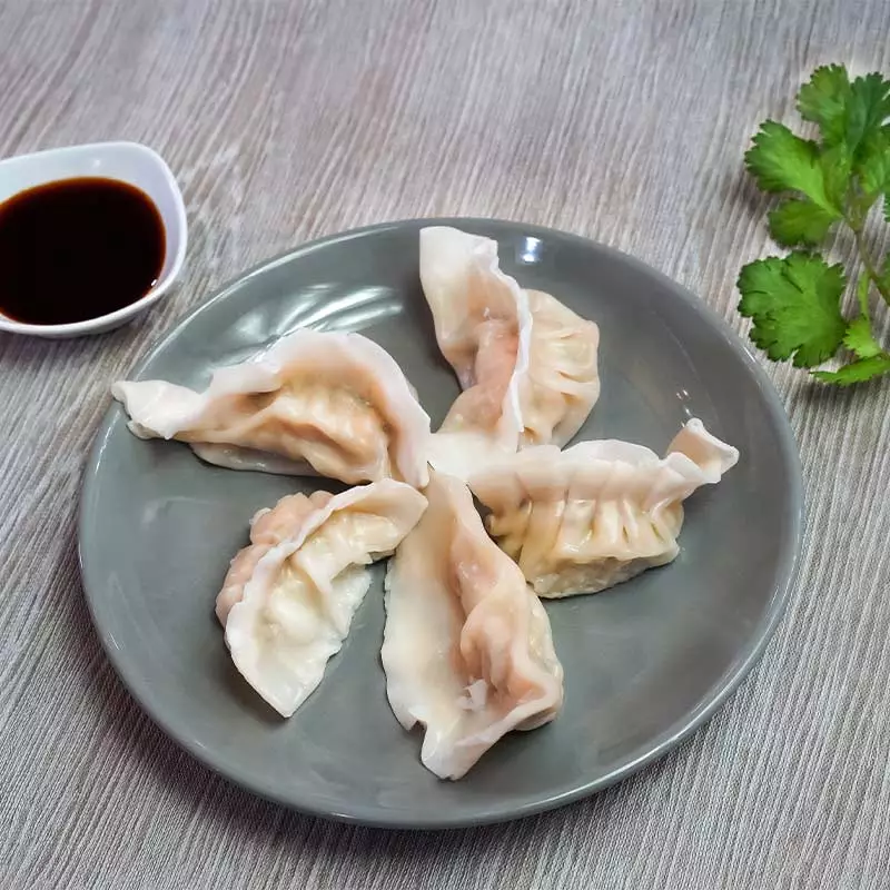Chicken Dumplings